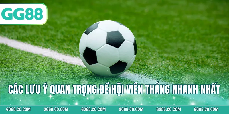 Các lưu ý quan trọng để hội viên thắng nhanh nhất