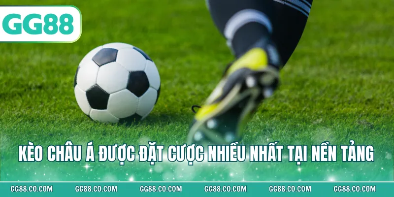 Kèo châu Á được đặt cược nhiều nhất tại nền tảng 